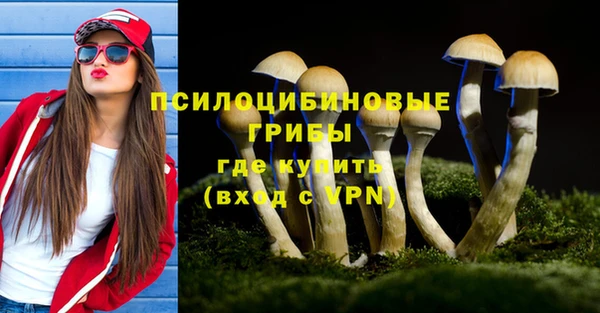 дурь Балахна