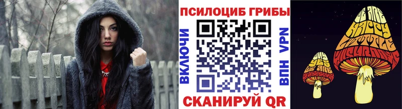 Галлюциногенные грибы Psilocybine cubensis купить цена Вяземский